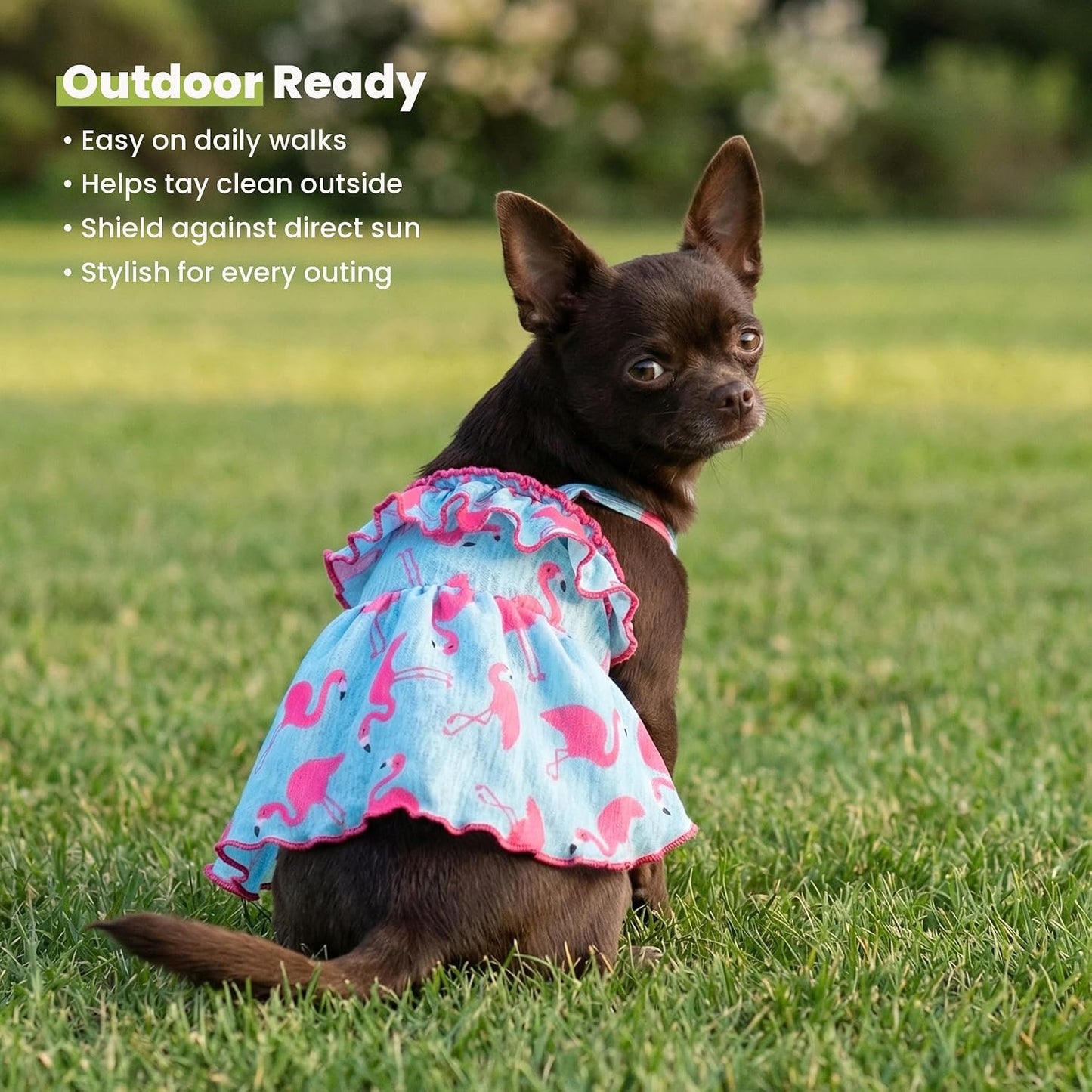 Fitwarm authentic medium size dog dress fabric stretch demonstration