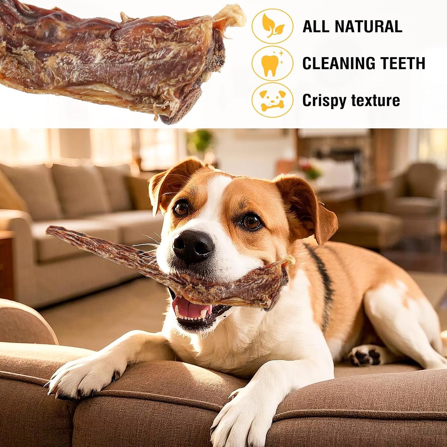 GNKatze grass fed beef oxtail dog treats rawhide free chew bones.