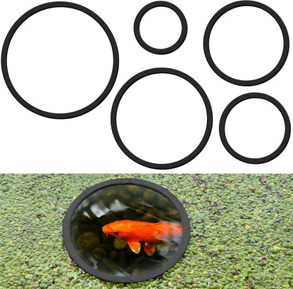 SANJHFF aquarium floating plant corral five piece set front view showing different ring sizes