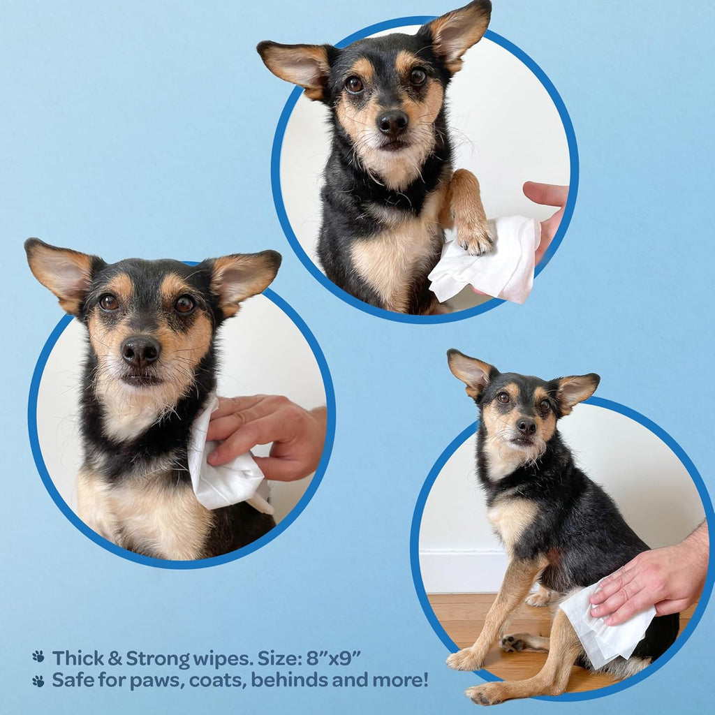 Alcohol free extra soft pet cleaning cloths for sensitive skin
