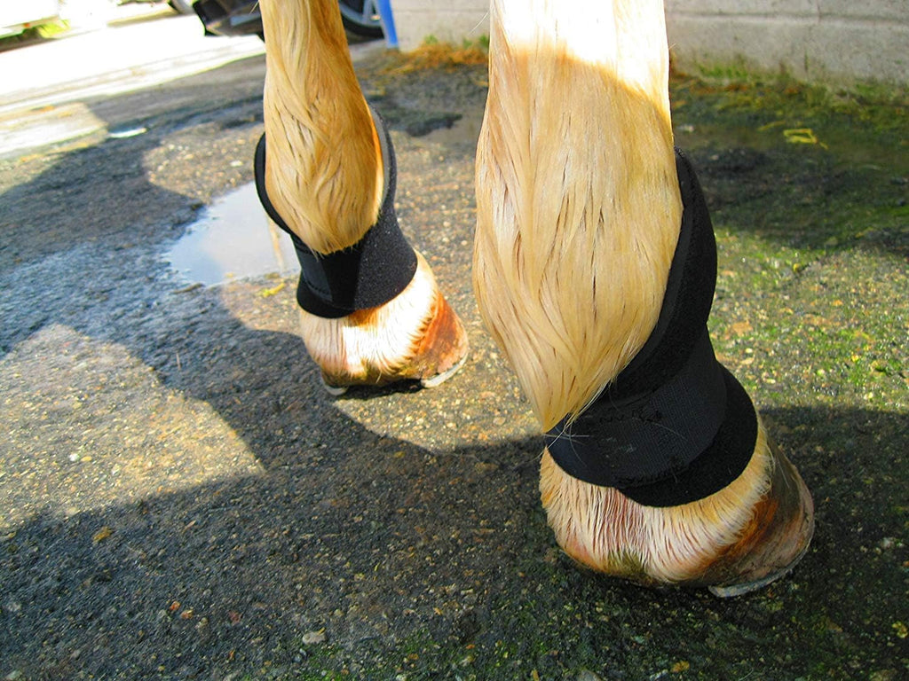 Equipro horse boots laid flat illustrating the one size fits most design and durable protective build.