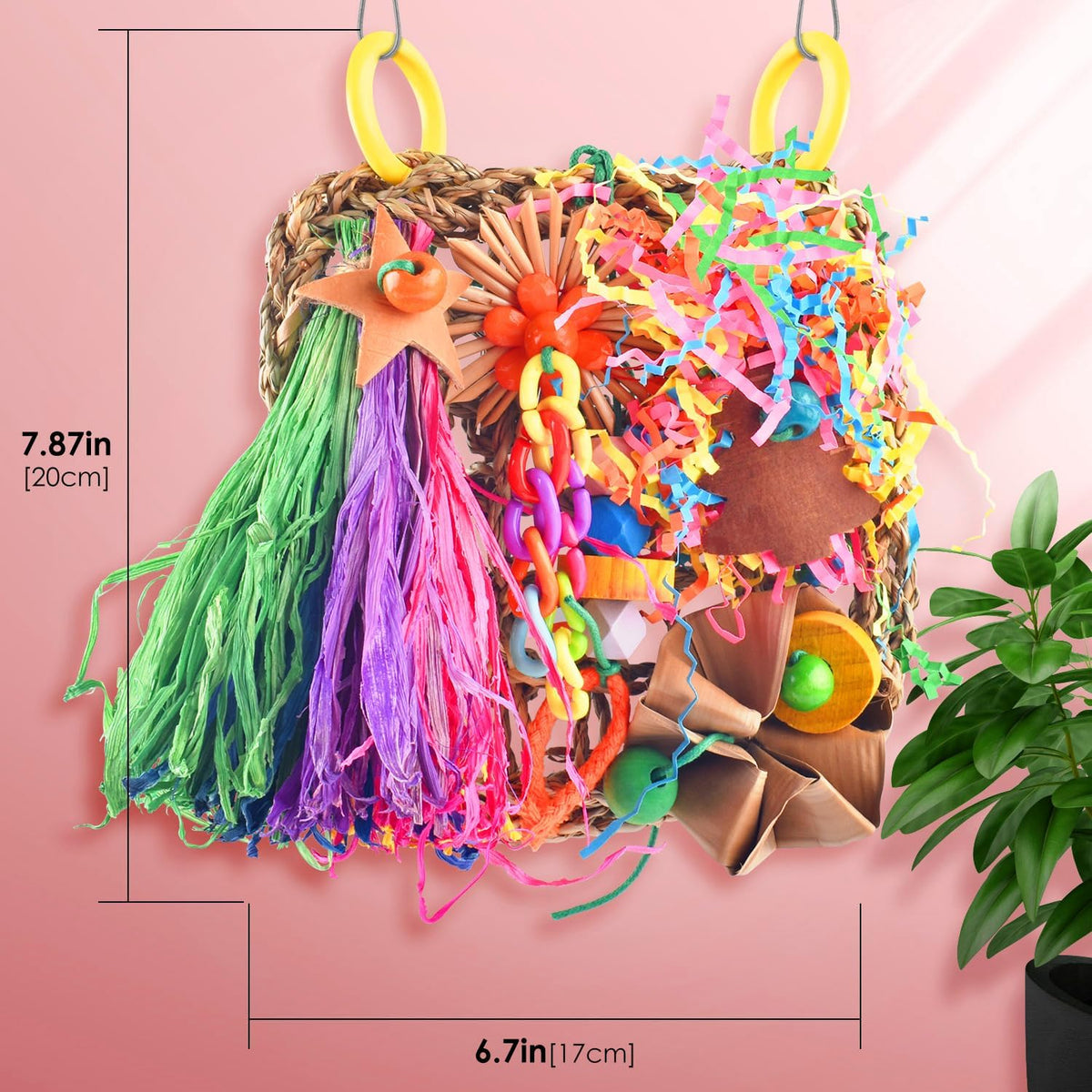 Parakeet playing with Katumo seagrass climbing wall toy