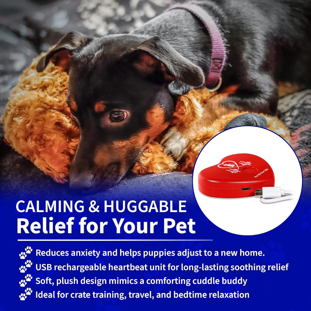 Small dog snuggling with Pet Fit For Life Cuddle Pup