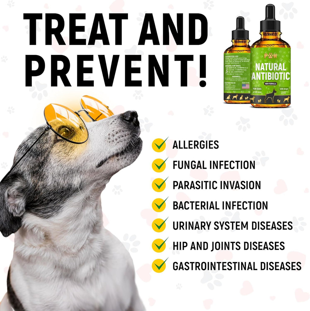 Instructions for dosing Golden Paw dog antibiotic supplement