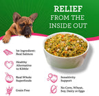 Dr. Harvey's grain free salmon recipe dog food nutritional facts label