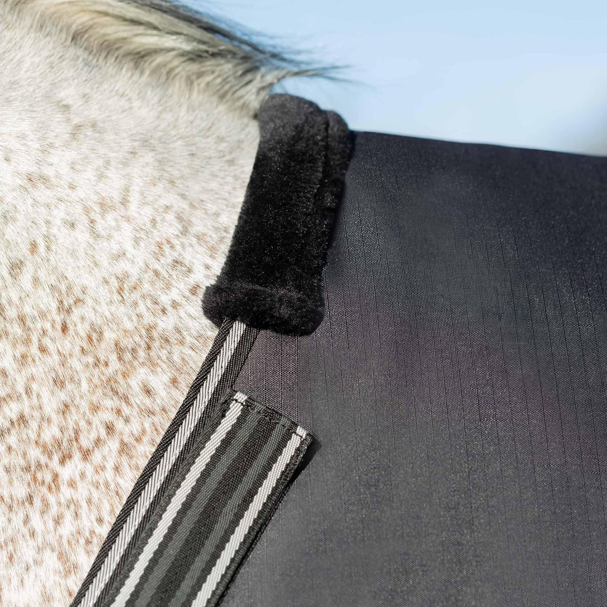 Equinavia equine turnout blanket with smooth poly taffeta interior lining