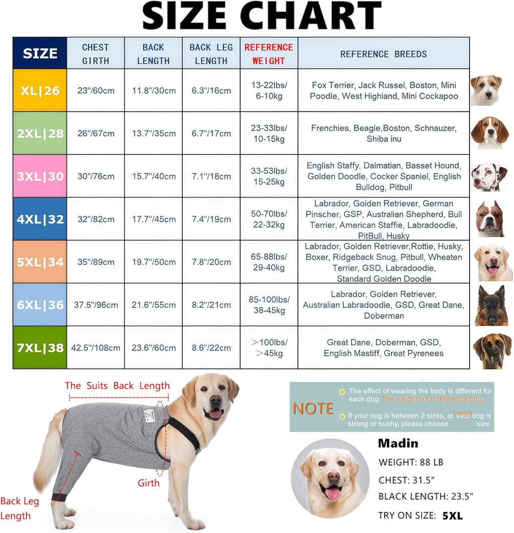 Soft stretchy dog recovery pants protecting rear leg and hip wounds.