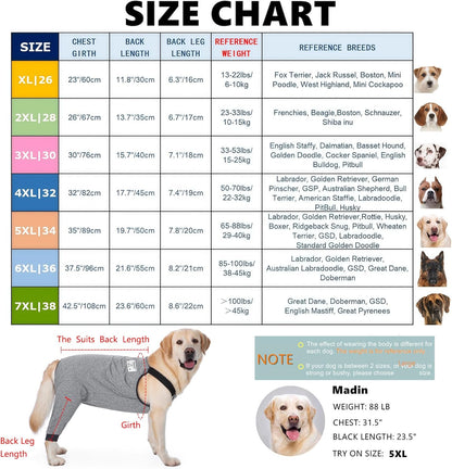 Soft stretchy dog recovery pants protecting rear leg and hip wounds.