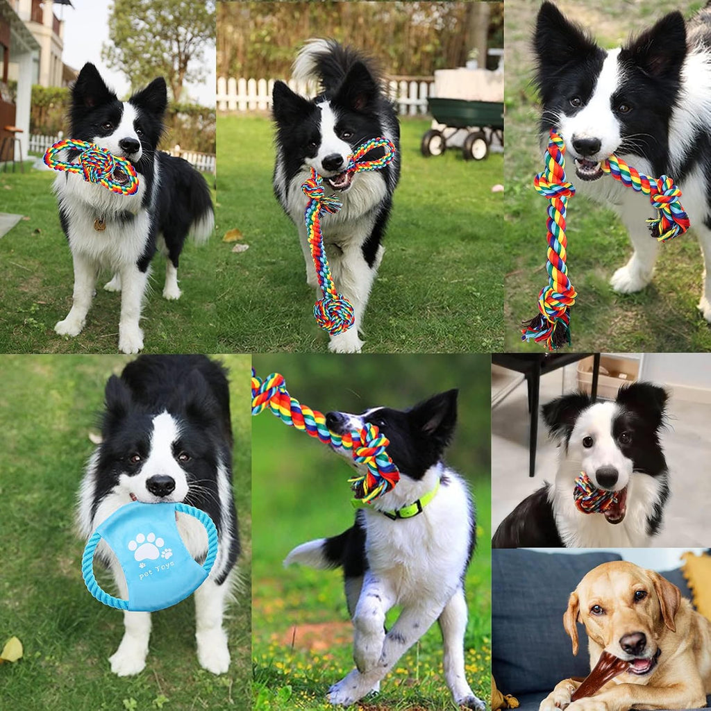 XLMYS variety pet pack contents including cotton ropes and durable squeaker toys.