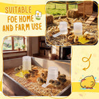2 Pack Quail Water Feeder, Anti Drowning Design, 400ml - Image 7