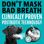 Dinovite dog oral care product packaging showing ingredients and feeding guidelines