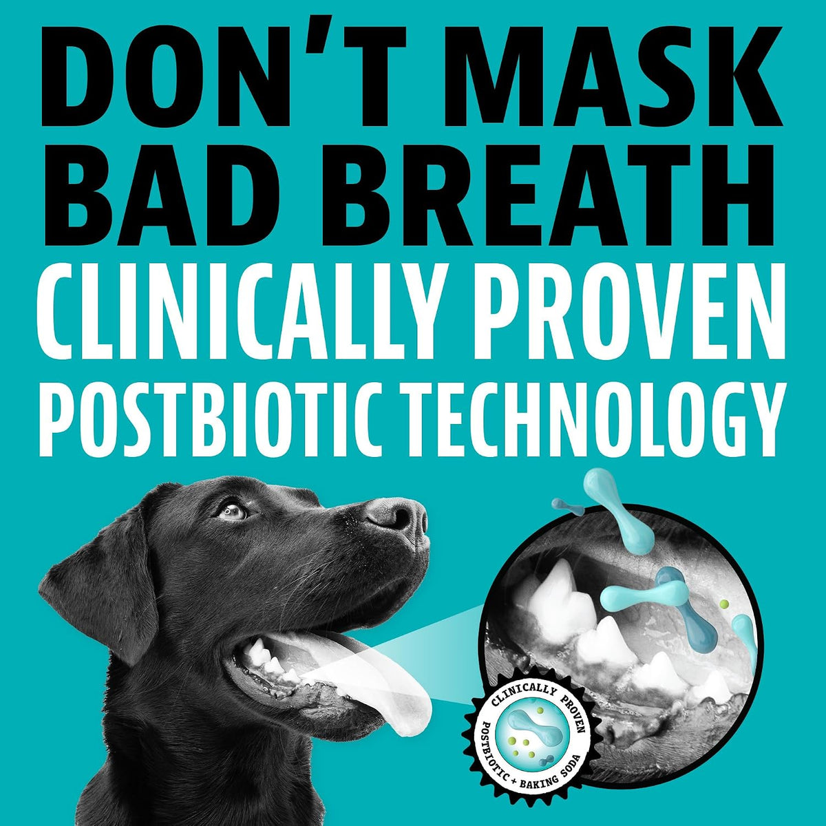 Dinovite dog oral care product packaging showing ingredients and feeding guidelines