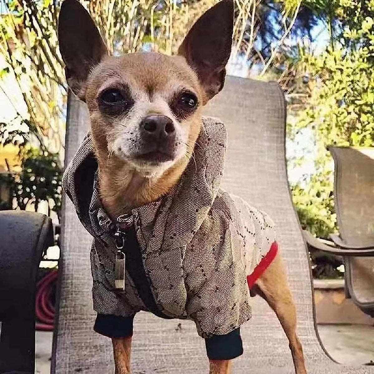 Hqrea winter clothes for French Bulldog and Pug