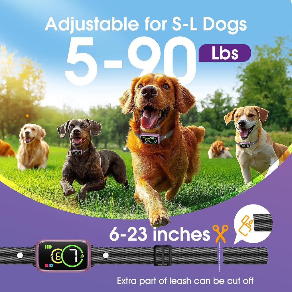 NQQHNN anti barking device worn by a dog