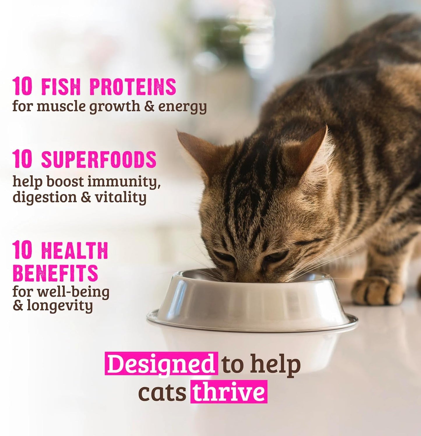 Small 3.5 pound bag of Rawz 10 Essentials fish recipe for cats