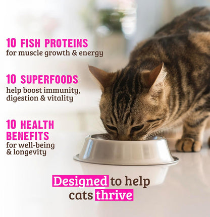 Small 3.5 pound bag of Rawz 10 Essentials fish recipe for cats