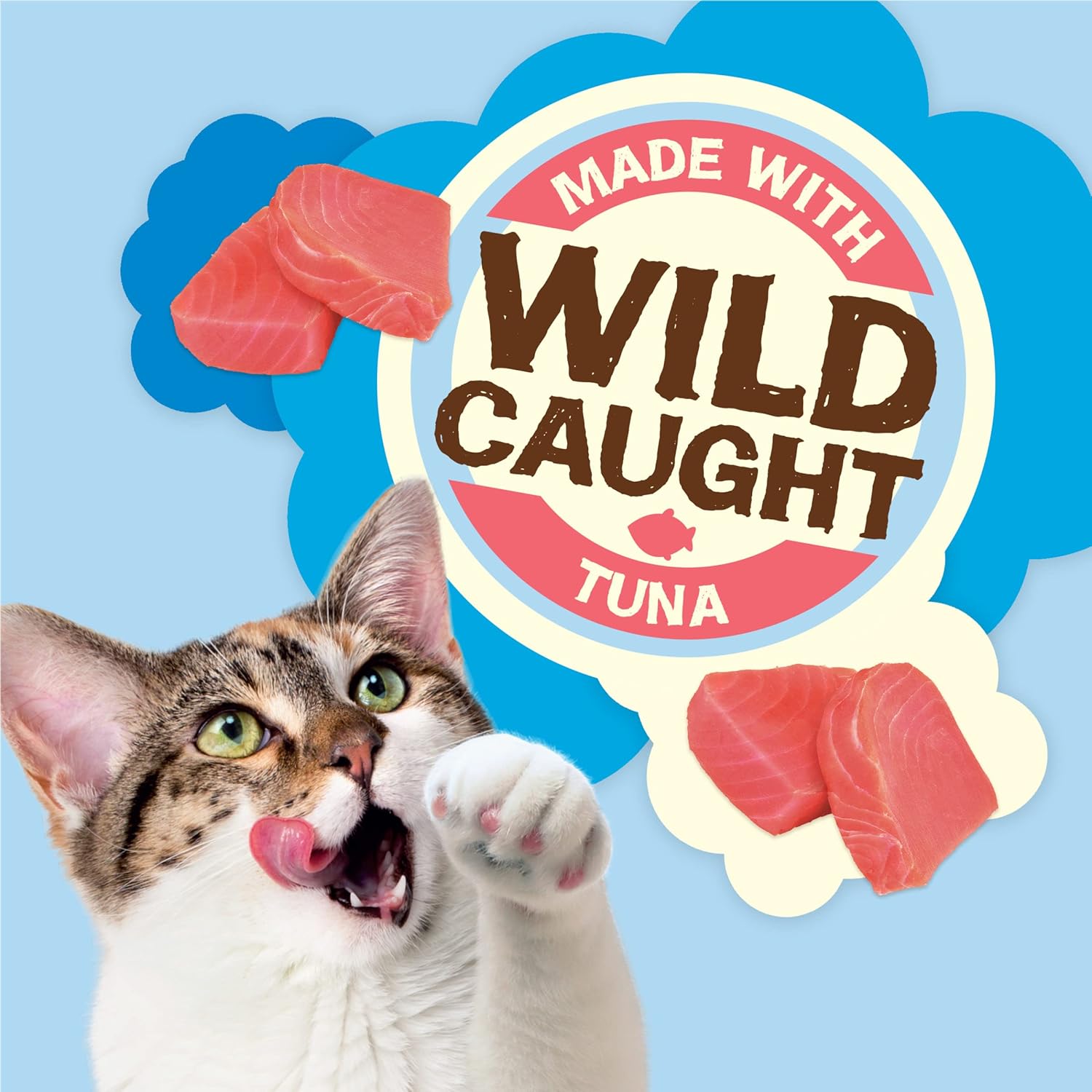 Imported USA premium feline treats with vitamins and minerals close up