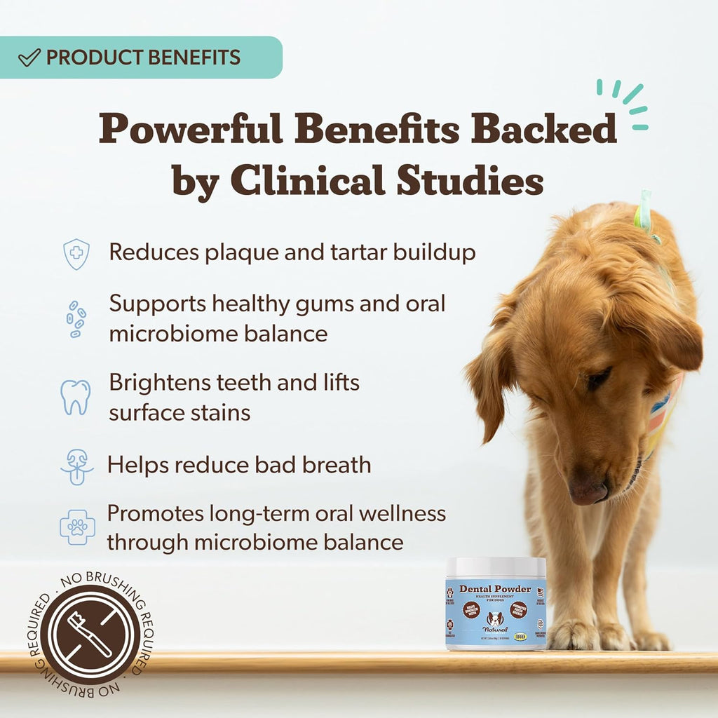 Close-up view of the ingredients and instructions label on Natural Dog Company dental care powder