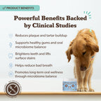 Close-up view of the ingredients and instructions label on Natural Dog Company dental care powder