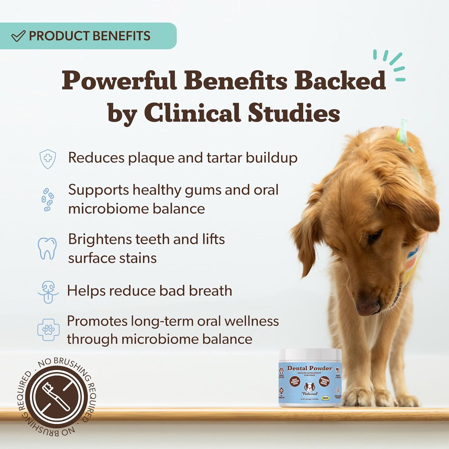 Close-up view of the ingredients and instructions label on Natural Dog Company dental care powder