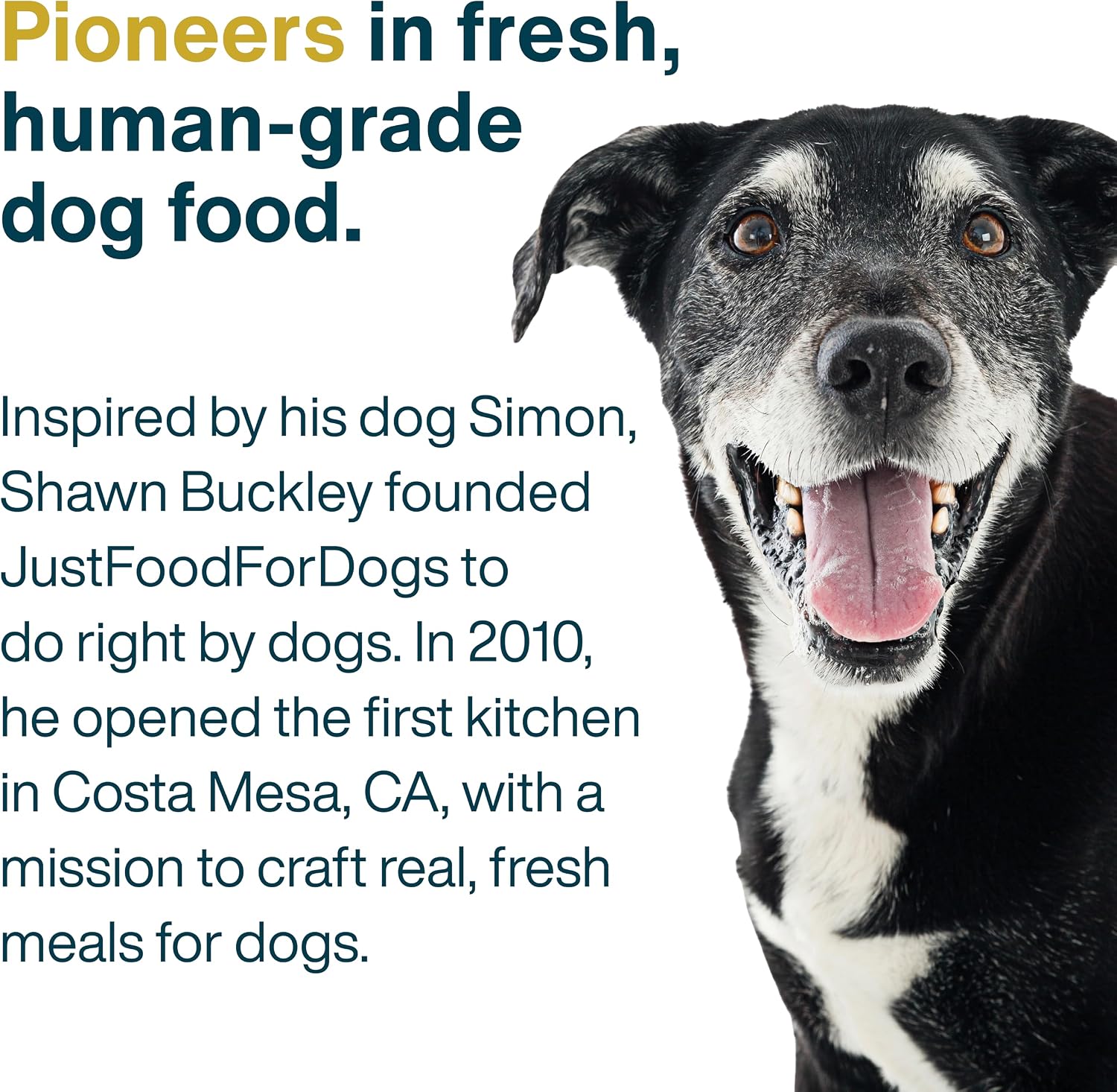 Just Food for Dogs Frozen Fresh Dog Food Toppers and Meals, Human Grade, Balanced Fresh Pet Meal or Topper, No Preservatives, Limited Ingredient Recipe, Beef and Turkey 5.5 oz - 18 Pack - Image 9