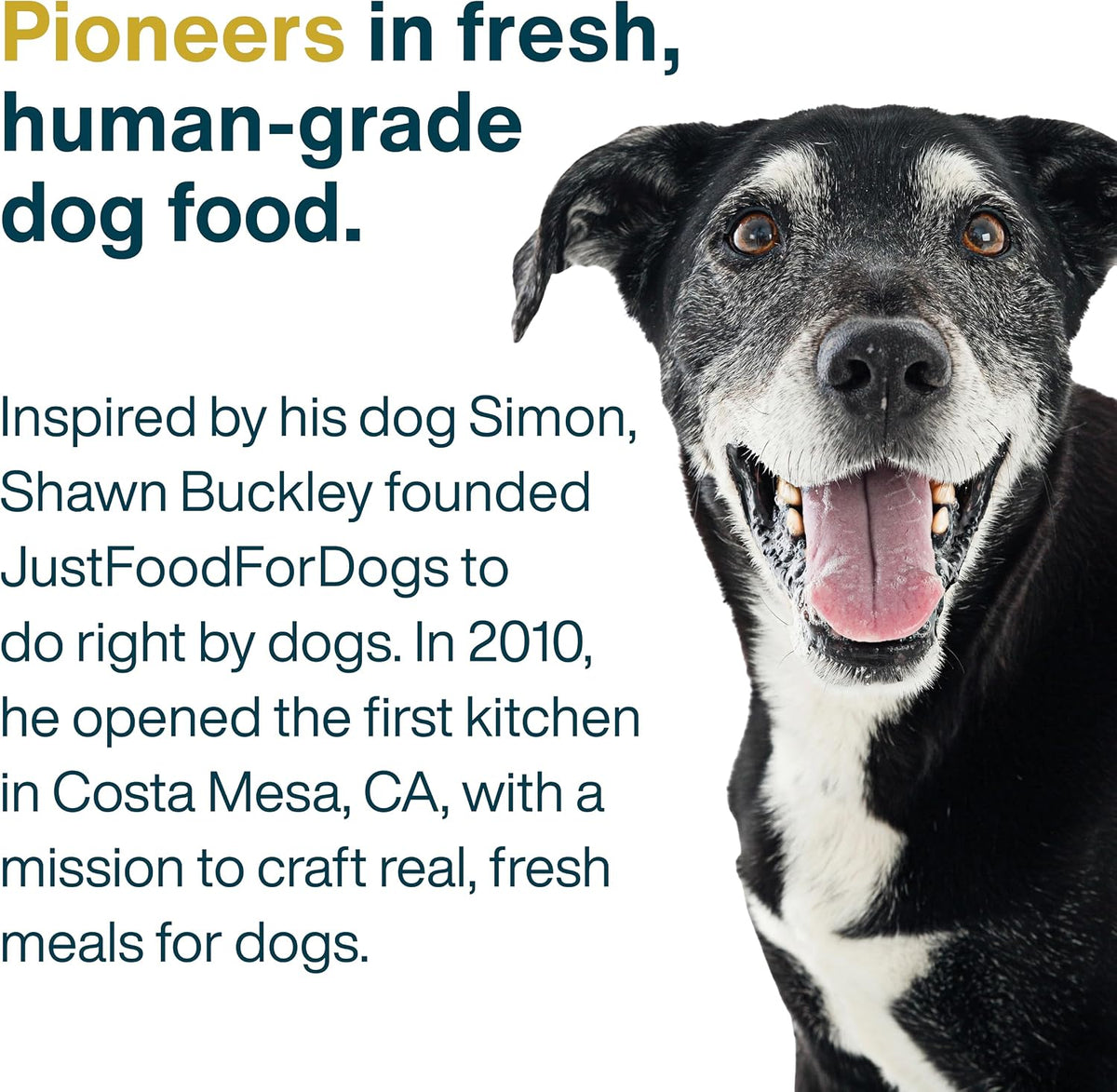 Just Food for Dogs Frozen Fresh Dog Food Toppers and Meals, Human Grade, Balanced Fresh Pet Meal or Topper, No Preservatives, Limited Ingredient Recipe, Beef and Turkey 5.5 oz - 18 Pack - Image 9