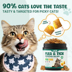 Top view of Lhqr natural cat flea and tick chews container