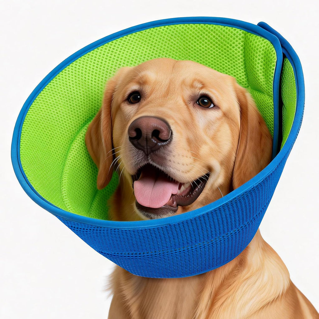 Autrous soft dog cone collar front view for post surgery recovery