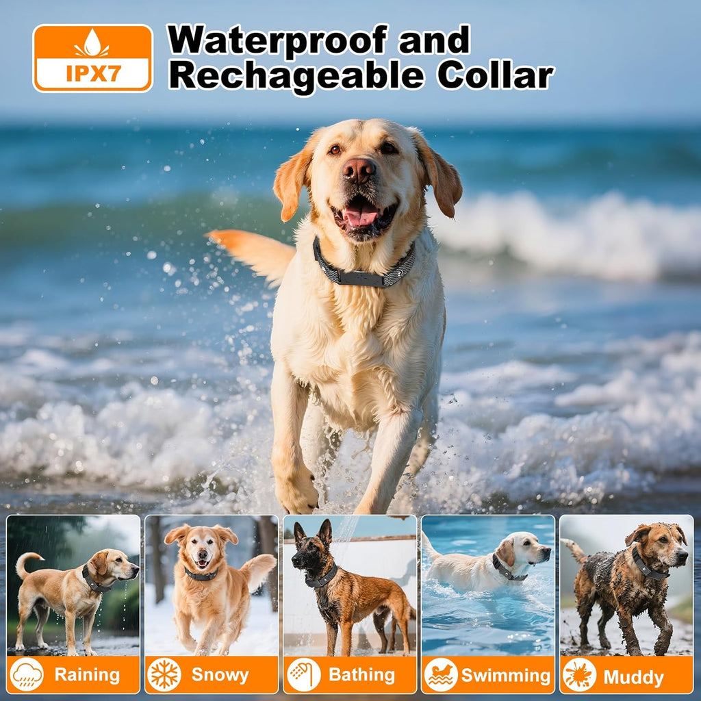 Two rechargeable dog training collars showing water resistant build