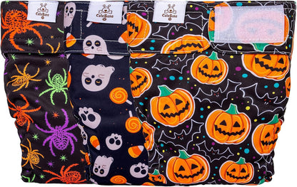 Packaging layout of the CuteBone female period pants three pack showing all included pattern designs.