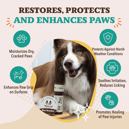 Lick safe dog paw care balm for hot pavement protection