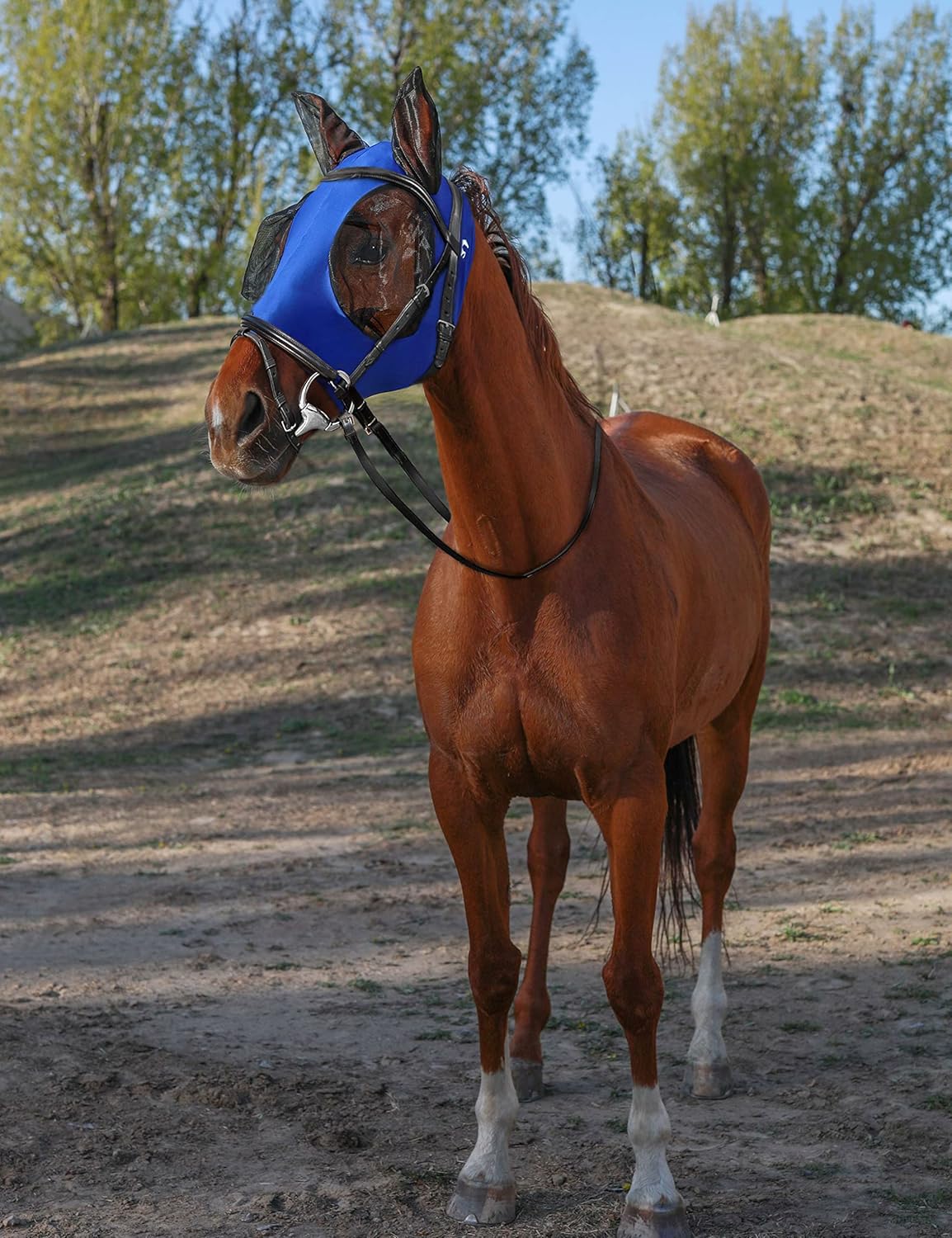 HackFond horse fly mask showcasing fine mesh eye protection