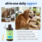Taily pet multivitamin with liquid collagen and glucosamine dropper packaging