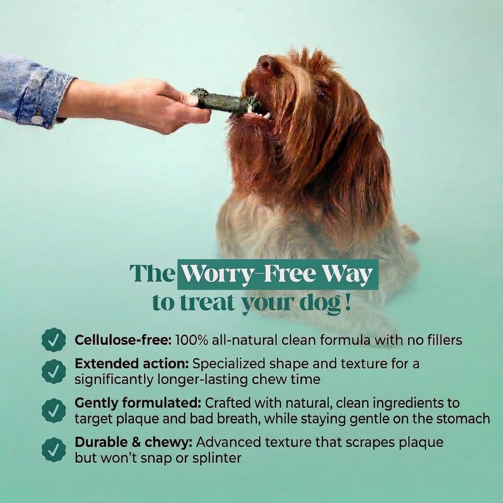 All natural green dog dental sticks by Pet Honesty for tartar control and fresh breath.