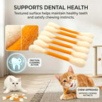 Cat playing with HFTRKE catnip swab kicker stick