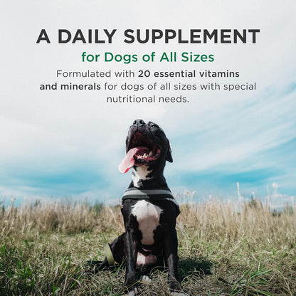 Pet-Tabs Plus supplement label showing ingredient list