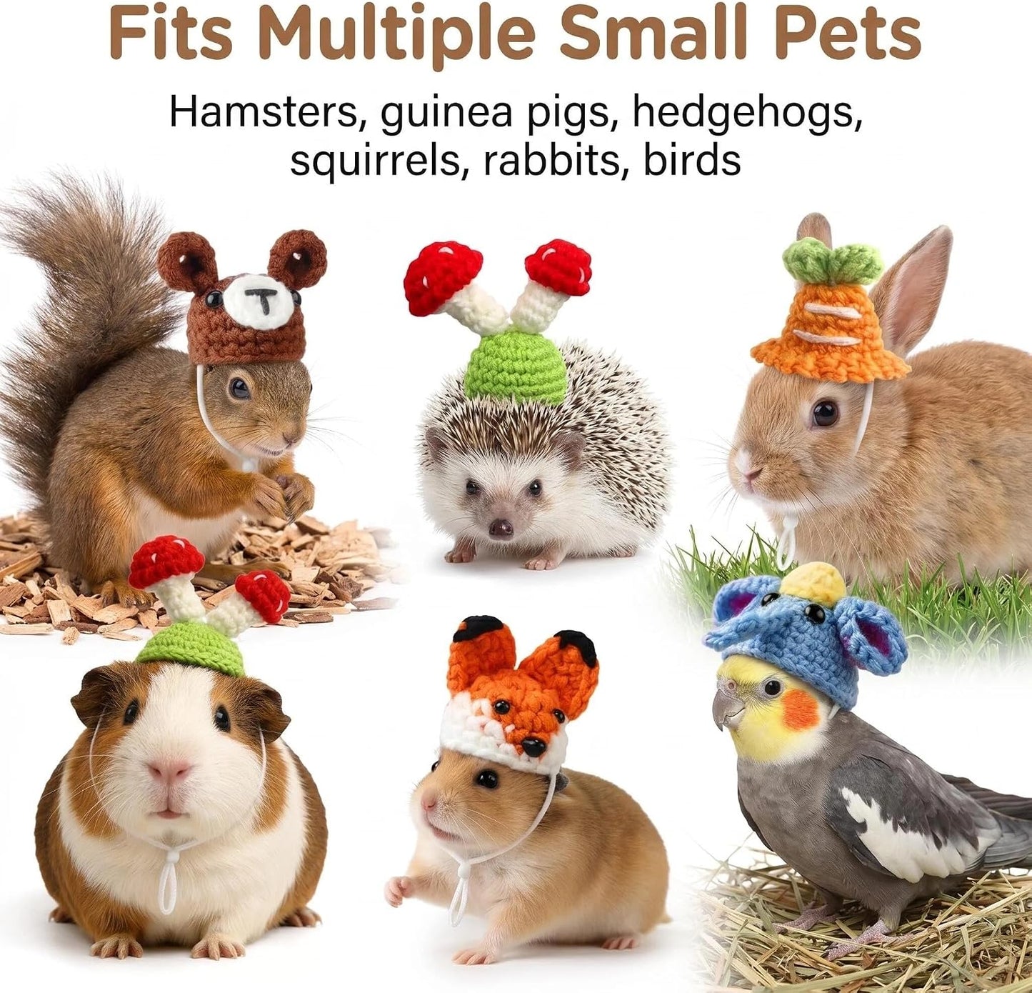 Close up view of premium acrylic fiber mini reptile hats for bearded dragons.