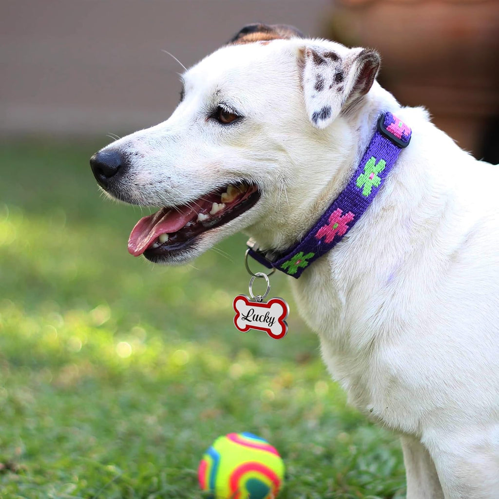 EDSG engraved pet tags layout demonstrating high quality stainless steel durability.