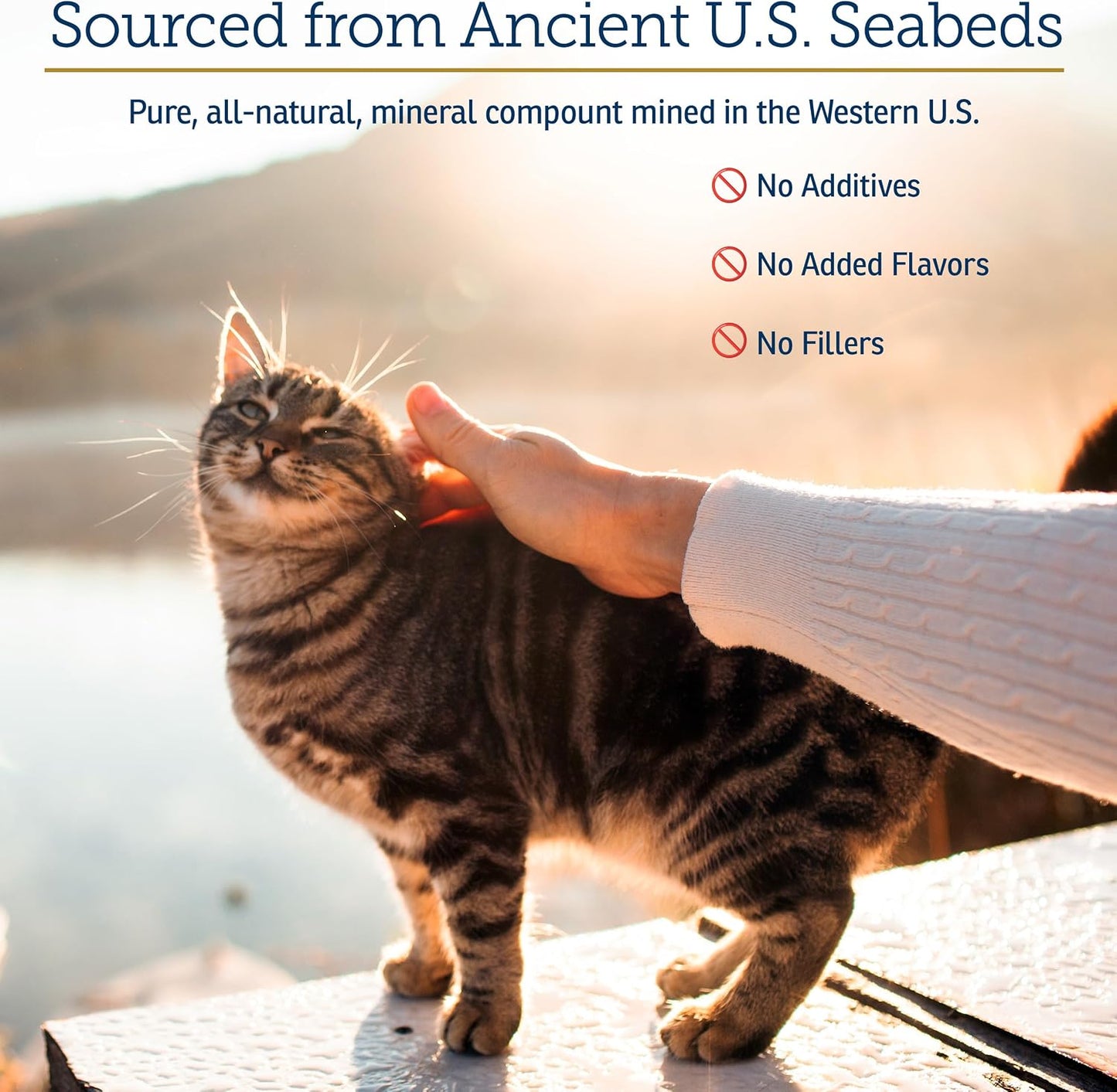 Rx Vitamins cat supplement nutrition facts label showing essential ingredients