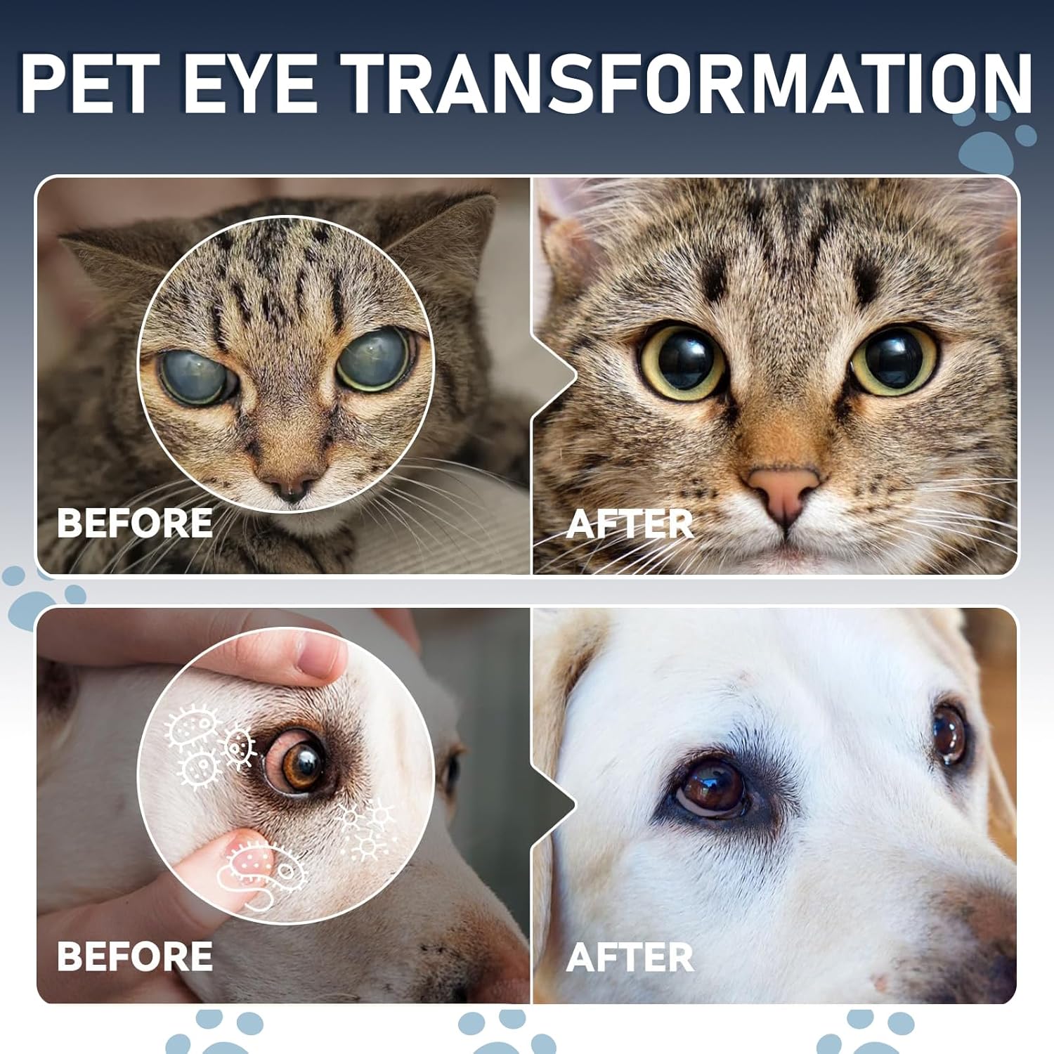 Pet cataract treatment liquid solution bottle showing the convenient dropper tip for easy application