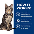 Hill's Prescription Diet Metabolic Weight Management Wet Cat Food, Vegetable & Chicken Stew, 2.9 oz. Cans, 24-Pack - Image 9