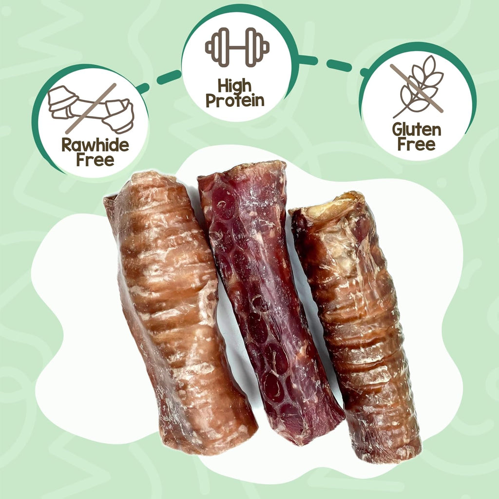 Nature Gnaws natural beef trachea dog chew close up