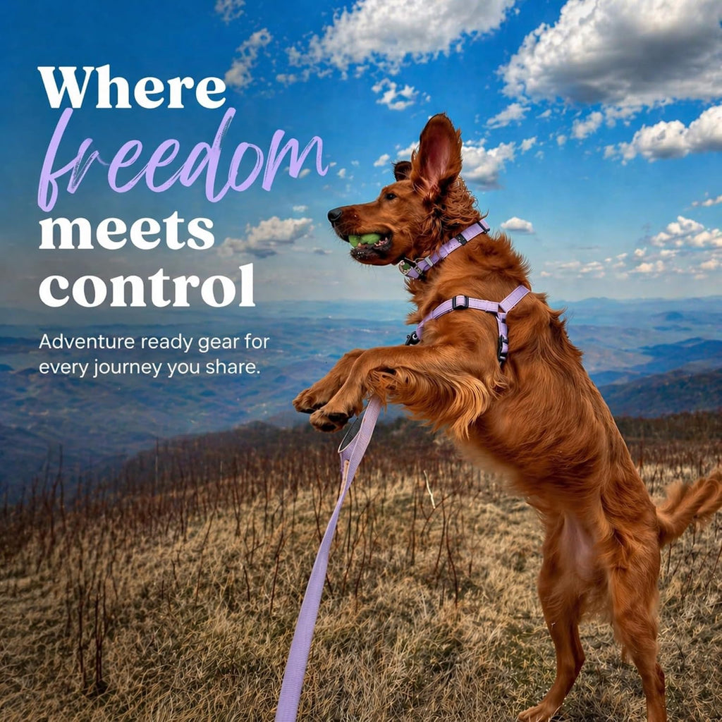 ShawnCo Dream Walk Pro Dog Harness- No-Pull, Comfortable, Adjustable, Easy to Use Pet Halter to Help Stop Pulling for Small, Medium and Large Dogs (ICY Lilac, Small) - Image 7