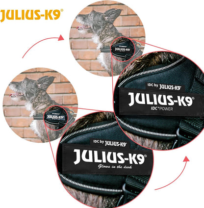 Interior breathable lining of the Julius-K9 dog harness