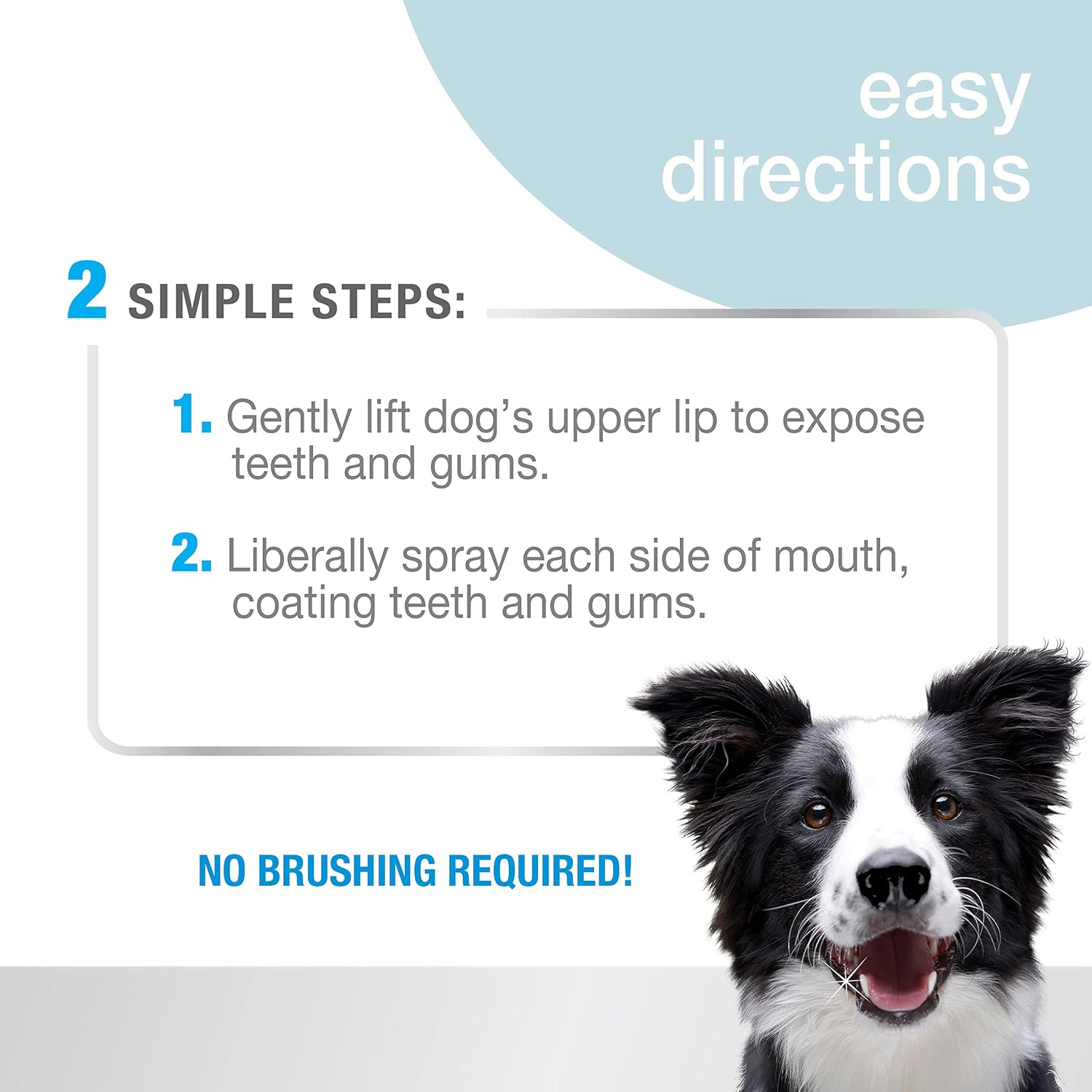Nylabone dog dental spray bottle 4 fluid ounces