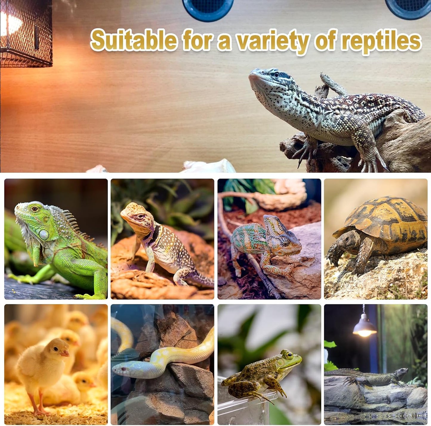 Mixjoy USA imported reptile daylight bulb illustrating optimal heat reflection layout.