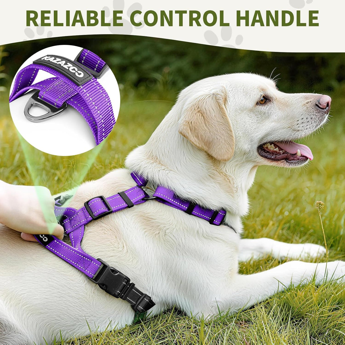 Side view of Kazazoo nylon harness showing adjustable straps