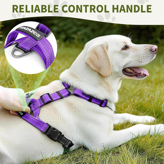 Side view of Kazazoo nylon harness showing adjustable straps
