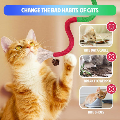Educational view of silvervine sticks for kitten teeth cleaning