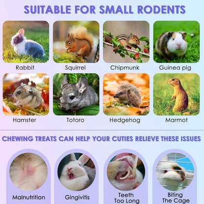 Healthy bunny treats variety pack showing textures for rabbit teeth grinding